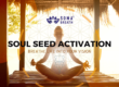soma breath soul seed activation