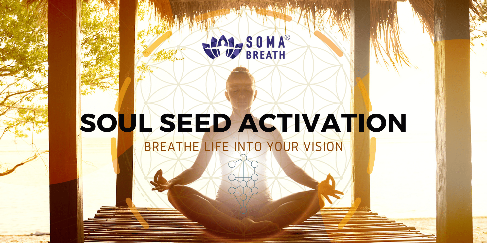soul seed activation background-min soma breath soul seed activation