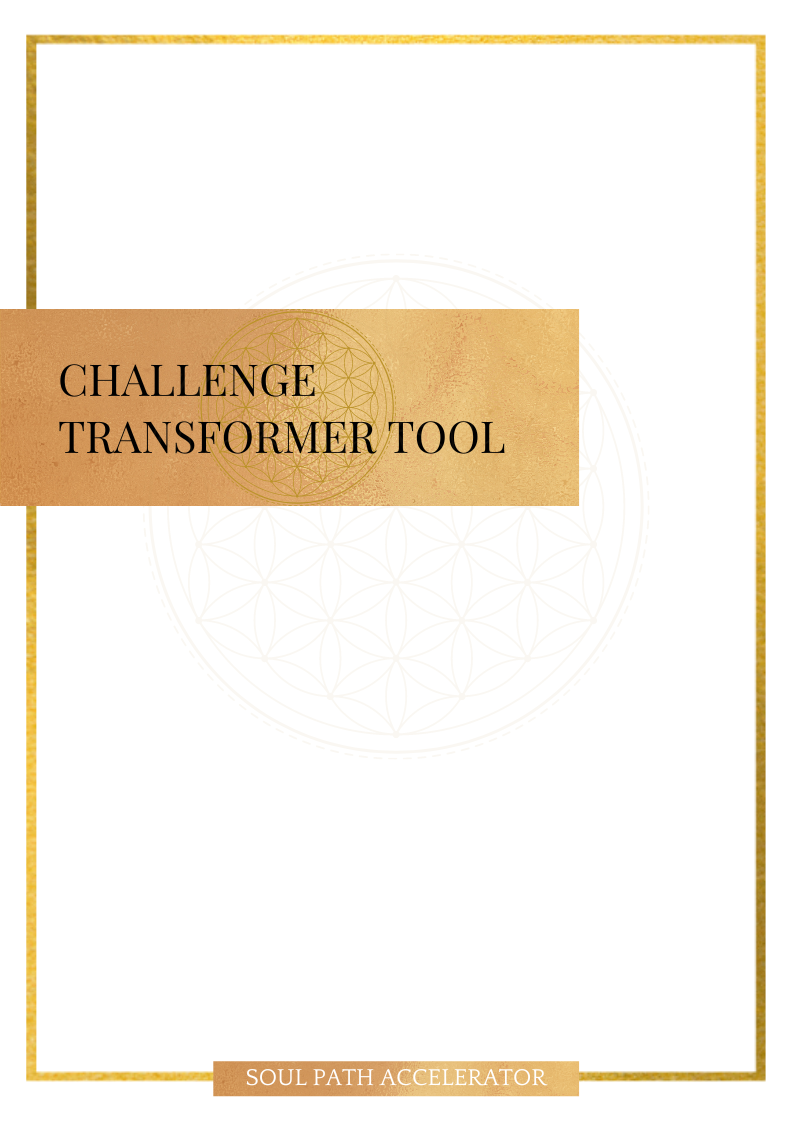 soul path accelerator challenge transformer